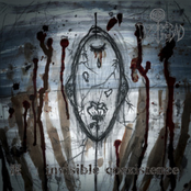 MUD [] invisible coexistence