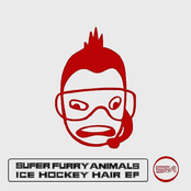 ice hockey hair ep