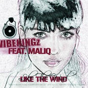 Like The Wind