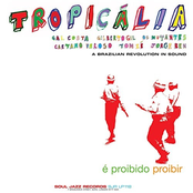 Tropicália - A Brazilian Revolution In Sound