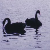 Helles Licht/ Dunkler Raum