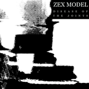 Disease Of The Joints