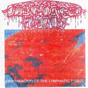 Degradation Of The Lymphatic Tissue