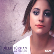 dilek türkan