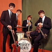 the merseybeats