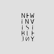 New Invisible Joy: New Invisible Joy