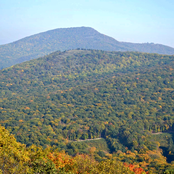 Perfection of The Nature