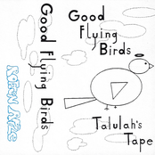Good Flying Birds: good flying birds: talulah's tape