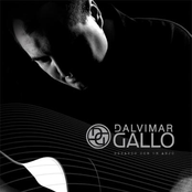 dalvimar gallo