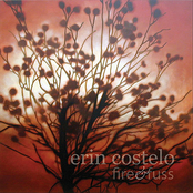 Erin Costelo: Fire & Fuss