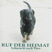 Sehnsucht nach Theo