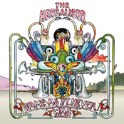 Amores Bongo by The Herbaliser