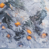 The End of The Winter