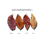 Selbstfindungsphase 1