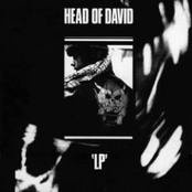 I'll Fall At Your Feet by Head Of David