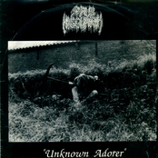 Unknown Adorer