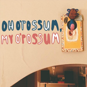 Oh Opossum, My Opossum