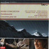 Horn Concertos (Contemporary) - FREISITZER, R. / HEINISCH, T. / STERK, N. / SCHWERTSIK, K. / PINTOS, R. (Nury Guarnaschelli, Ensemble Die Reihe)