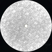 Evoked Potentials (Part Three)