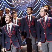 warblers