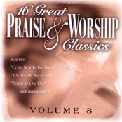 16 Great Praise & Worship Classics, Vol. 8
