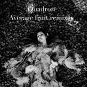 Average Fruit (analogue Transit Remix) by Quadron