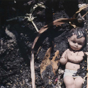 Morbificu