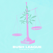 Bush League: Variable Joy