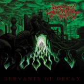 Servants of Decay
