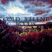 cold silent woods