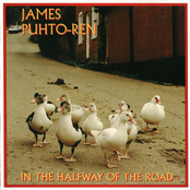 In The Halfway Of The Road