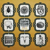 Fading Yellow Vol 11