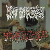 Rot In Pieces & Hypoptalasias