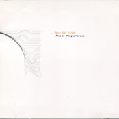 New Wet Kojak: This Is the Glamorous