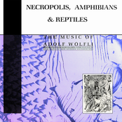 Necropolis, Amphibians & Reptiles