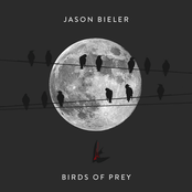 Jason Bieler: Birds Of Prey