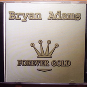 I Don't Wanna Live Forever by Bryan Adams