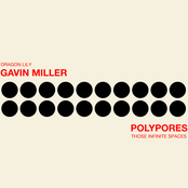 Dragon Lily / Those Infinite Spaces