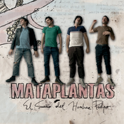 La Mejor De Las Fiestas by Mataplantas