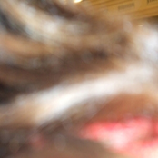 las palabras vuelven