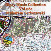 Gipsy Music Collection Vol 06: Muharem Serbezovski:  Live in Restaurant - Gypsy Magic