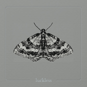 Luckless