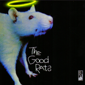 Good Rats