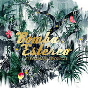 Caribbean Power by Bomba Estéreo