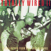 Totally Wired, Volume 2