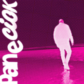 Fumo Erba (PANECIOK Bootleg)