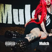Mulch