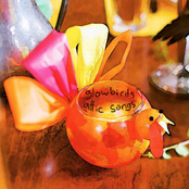 Glowbirds