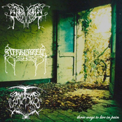 Three ways to live in pain (SPLIT) by S.M.S. 2008