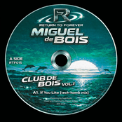 If You Like (tech-home mix)